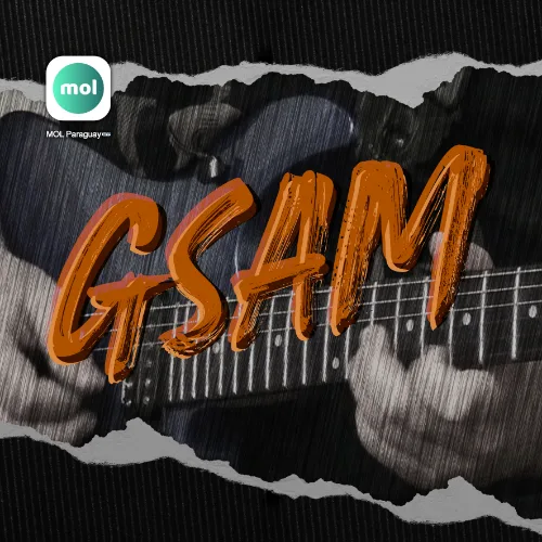 Gsam